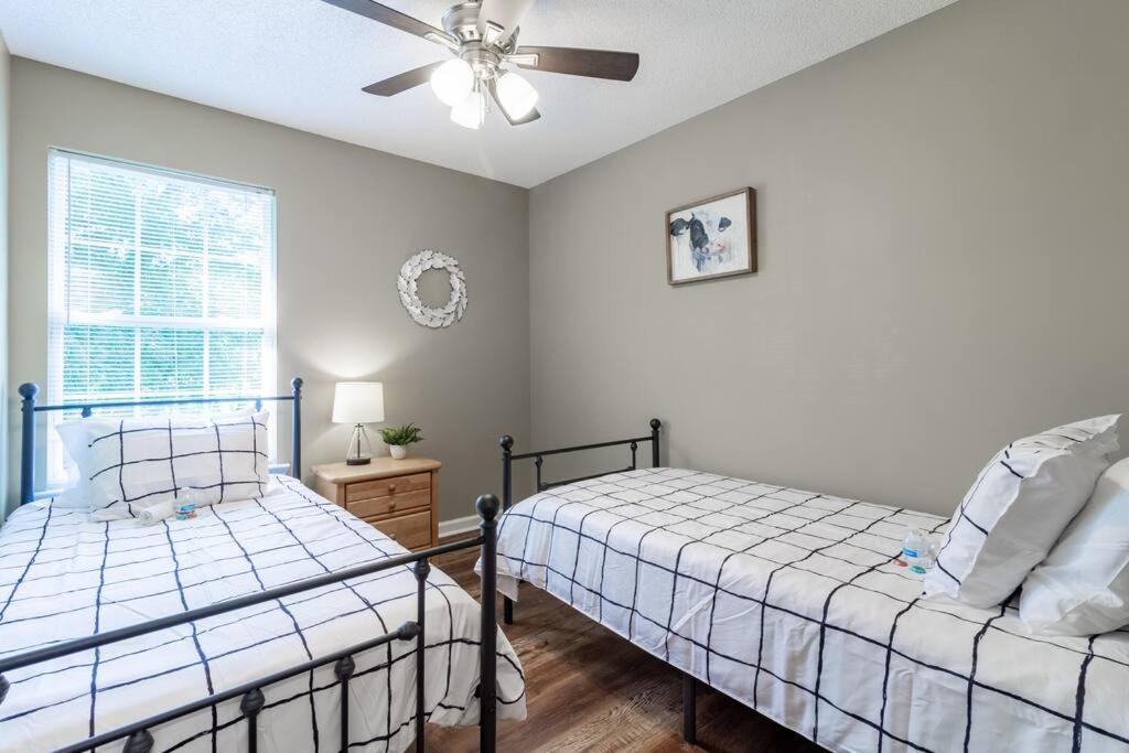 Spectacular Wanderers Nest Chattanooga