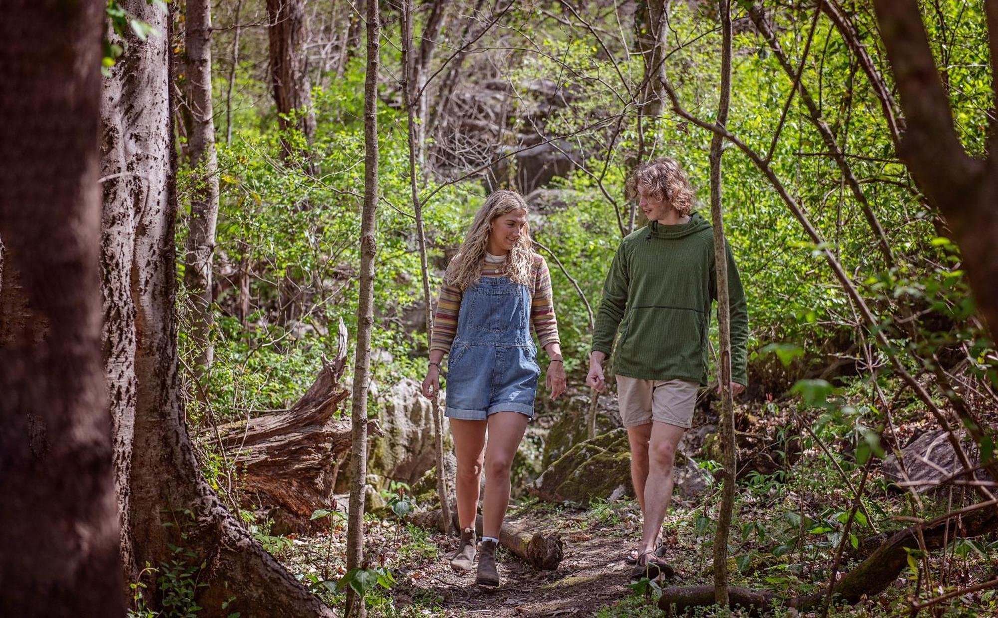 Meg Tiny Rustic Comfort On Lookout Mtn