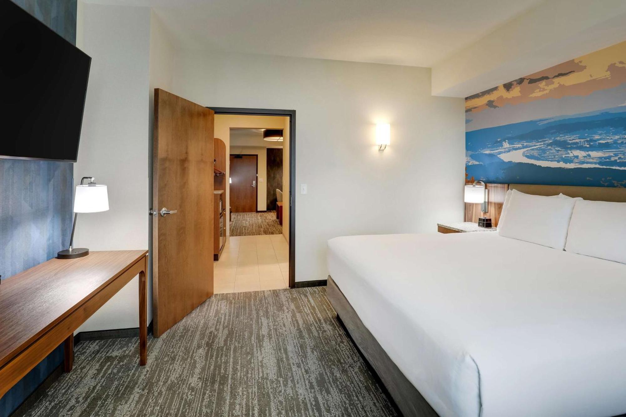 Hotel Drury Plaza Hamilton Place